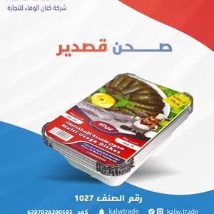 صحن قصدير 1027